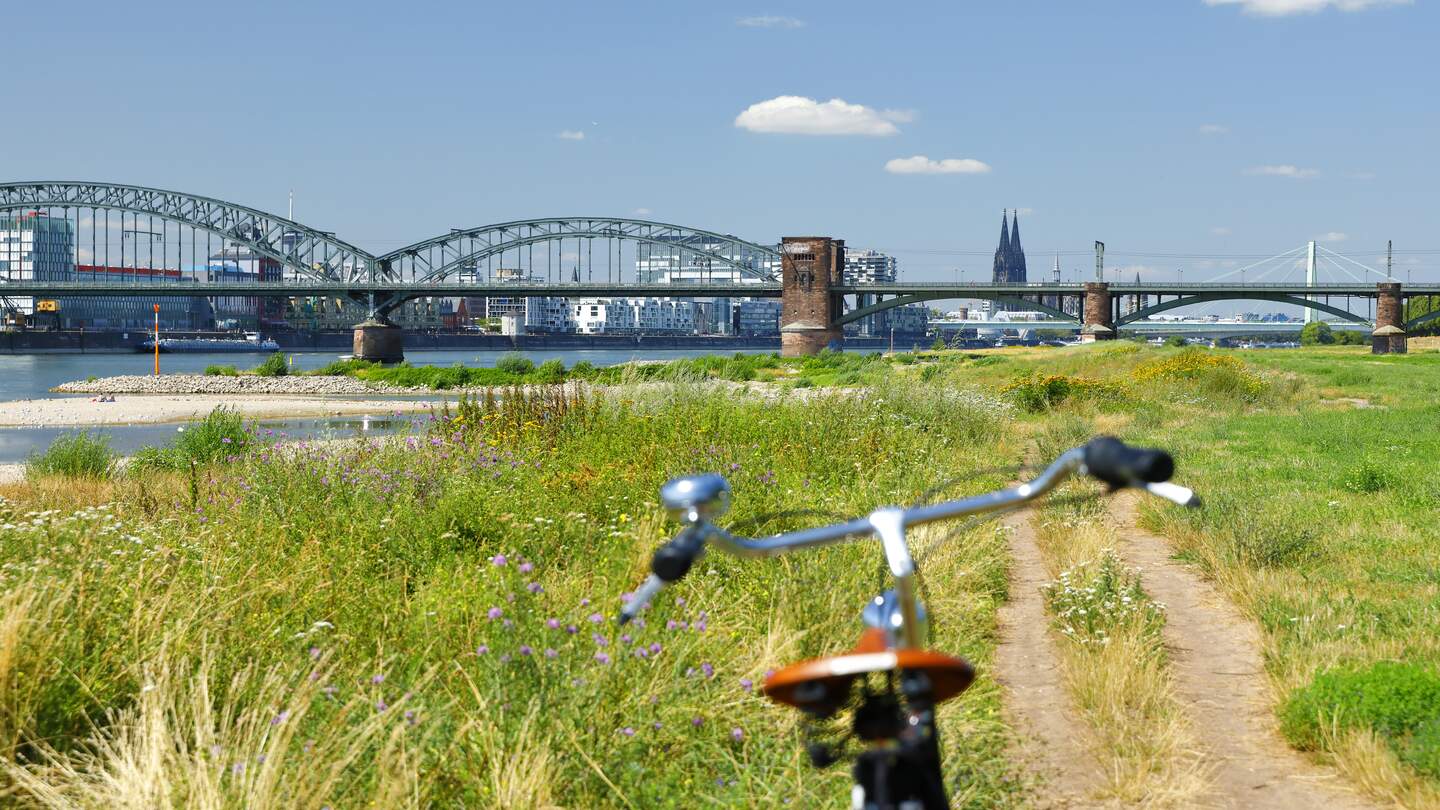 Mit dem Fahrrad in die Pollerwiesen in Köln, Rheinauhafen und Kölner Dom im Hintergrund | © Gettyimages.com/horstgerlach