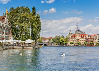 Blick auf den Bodensee in Konstanz mit historischen Gebäuden, grünen Bäumen und zwei Schwänen im klaren Wasser unter blauem Himmel. | © Gettyimages.com/	karp5