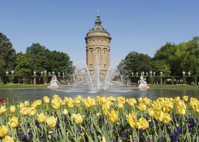 Der Wasserturm in Mannheim mit Blumen | © Gettyimages.com/manwolste