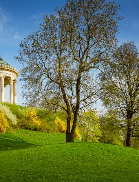 Englischer Garten in München im Frühling bei Sonnenschein | © Gettyimages.com/Auris