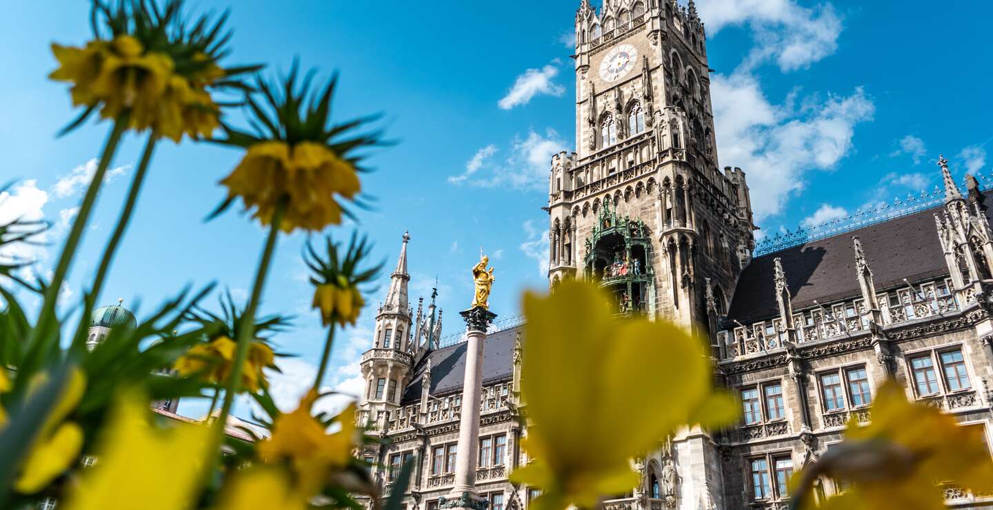 Marienplatz in Muenchen mit Fruehlingsblumen | © Gettyimages.com/Wirestock