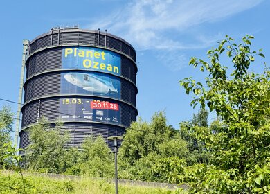 Außenansicht des Gasometers Oberhausen mit Hai-Plakat  | © Michelle Khan