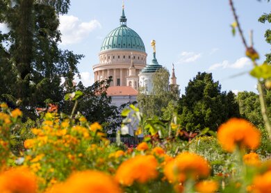 Rathaus in Potsdam hinter einem bluehenden Park | © Gettyimages.com/jokos78