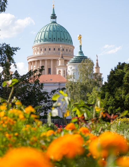 Rathaus in Potsdam hinter einem bluehenden Park | © Gettyimages.com/jokos78