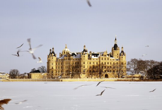 Das Schweriner Schloss im Winter mit Voegeln | ©  Gettyimages.com/anjafranzke