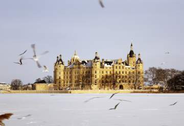 Das Schweriner Schloss im Winter mit Voegeln | ©  Gettyimages.com/anjafranzke