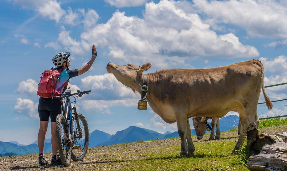 Frau mit Mountainbike spricht mit einer Kuh in den Allgauer Alpen | © © Gettyimages.com/Uwe Moser