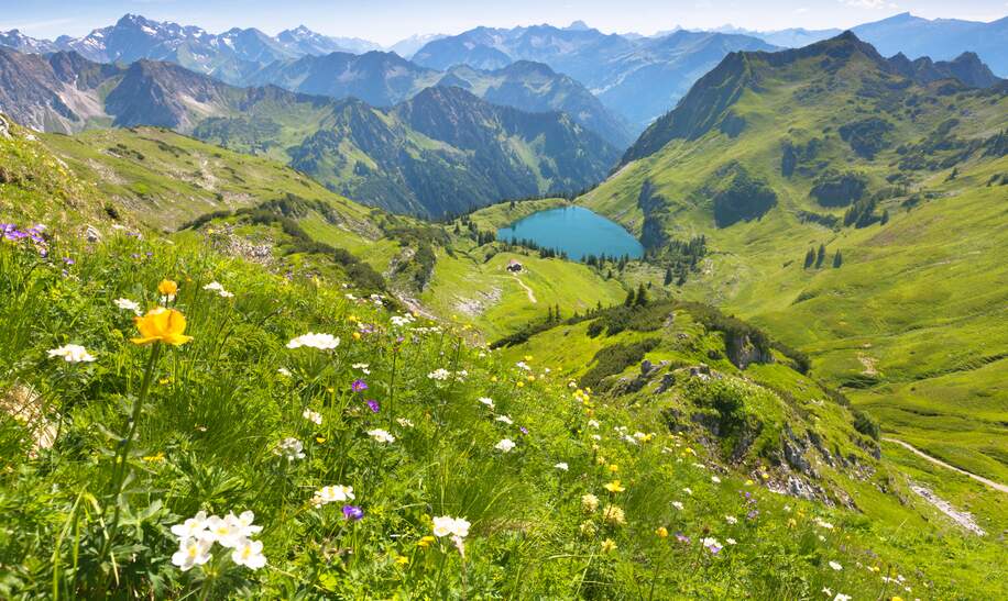 Gettyimages.com/wingmar | © Traumhafte Panoramawanderung vom Nebelhorn entlang des Laufbacher Ecks ueber Schneck mit Blick auf den Seealpsee nahe Oberstdorf 