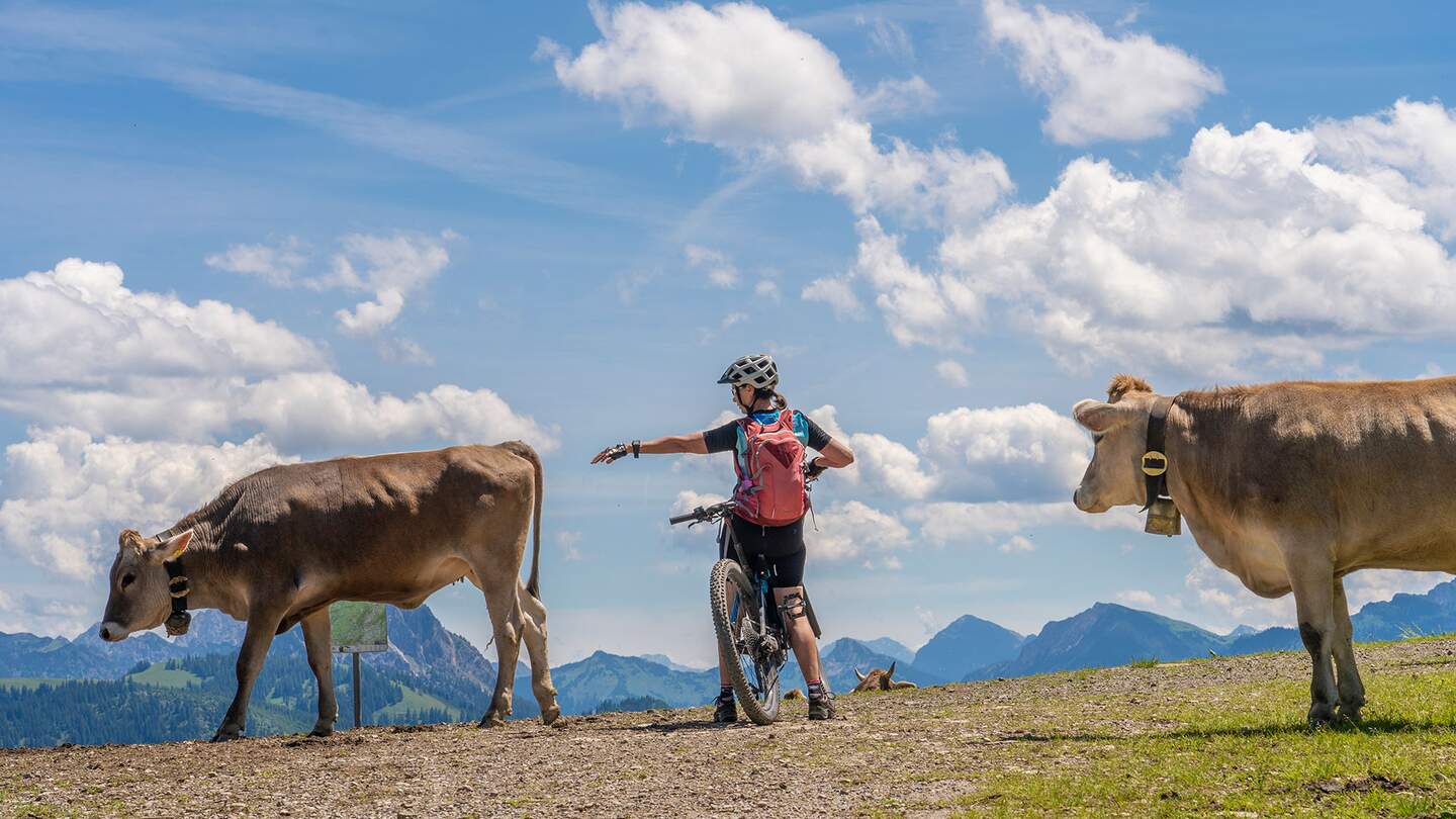 Mountainbikerin im Gespräch mit Kuehen auf einer Alm in den Allgaeuer Alpen bei Oberjoch | © Gettyimages.com/Uwe Moser