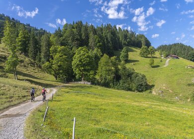 Zwei Personen fahren auf einem Feldweg mit Fahrraedern ueber die Allgaeuer Alpen in Richtung einer Huette die weiter oben liegt, Bayern, Deutschland | © GettyImages.com/Uwe Moser