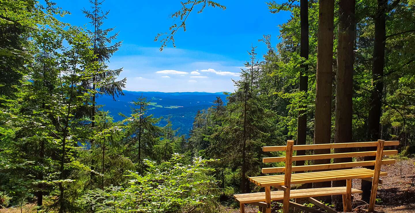 Natürlicher Aussichtspunkt mit einer Holzbank im Vordergrund in der Nähe von Bodenmais im Bayerischen Wald | © Gettyimages.com/Eisenlohr