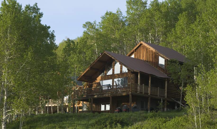 Im Wald steht ein großes Ferienhaus umgeben von prächtigen Birkenbäumen.  | © Gettyimages.com/babyblueut