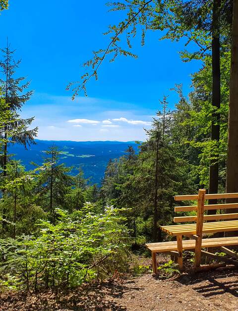 Natürlicher Aussichtspunkt mit einer Holzbank im Vordergrund in der Nähe von Bodenmais im Bayerischen Wald | © © Gettyimages.com/Eisenlohr