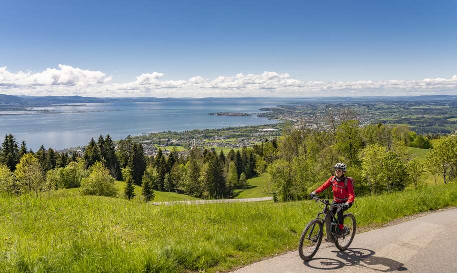Aktive Seniorin, die einen atemberaubenden Blick ueber den Bodensee mit schneebedeckten Schweizer Bergen im Hintergrund bewundert | © GettyImages.com/Uwe Moser