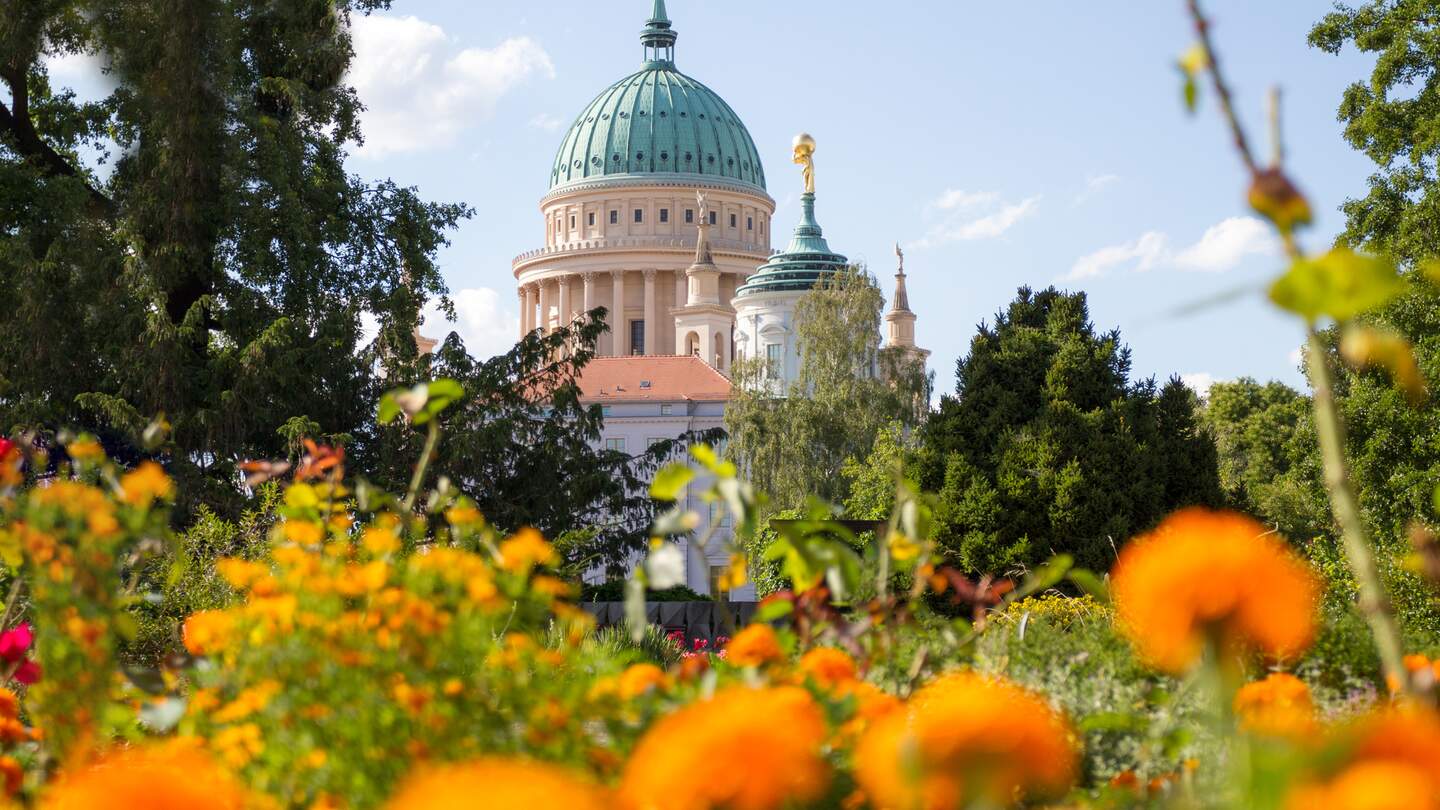 Kuppel und altes Rathaus in Potsdam hinter einem blühenden Park | © Gettyimages.com/jokos78