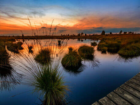  eine malerische Moorlandschaft im Hohen Venn mit einem Holzsteg, der durch die weite, grasbewachsene Flaeche fuehrt | © Pixabay.com/Sunny611