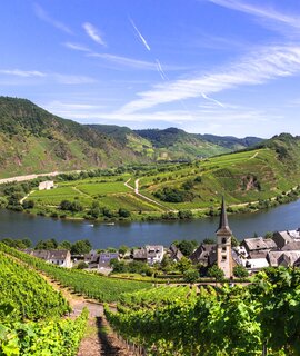 Blick auf Bremm an der Mosel mit Moselschleife mit blauem Himmel, Deutschland | © GettyImages.com/8vFanI