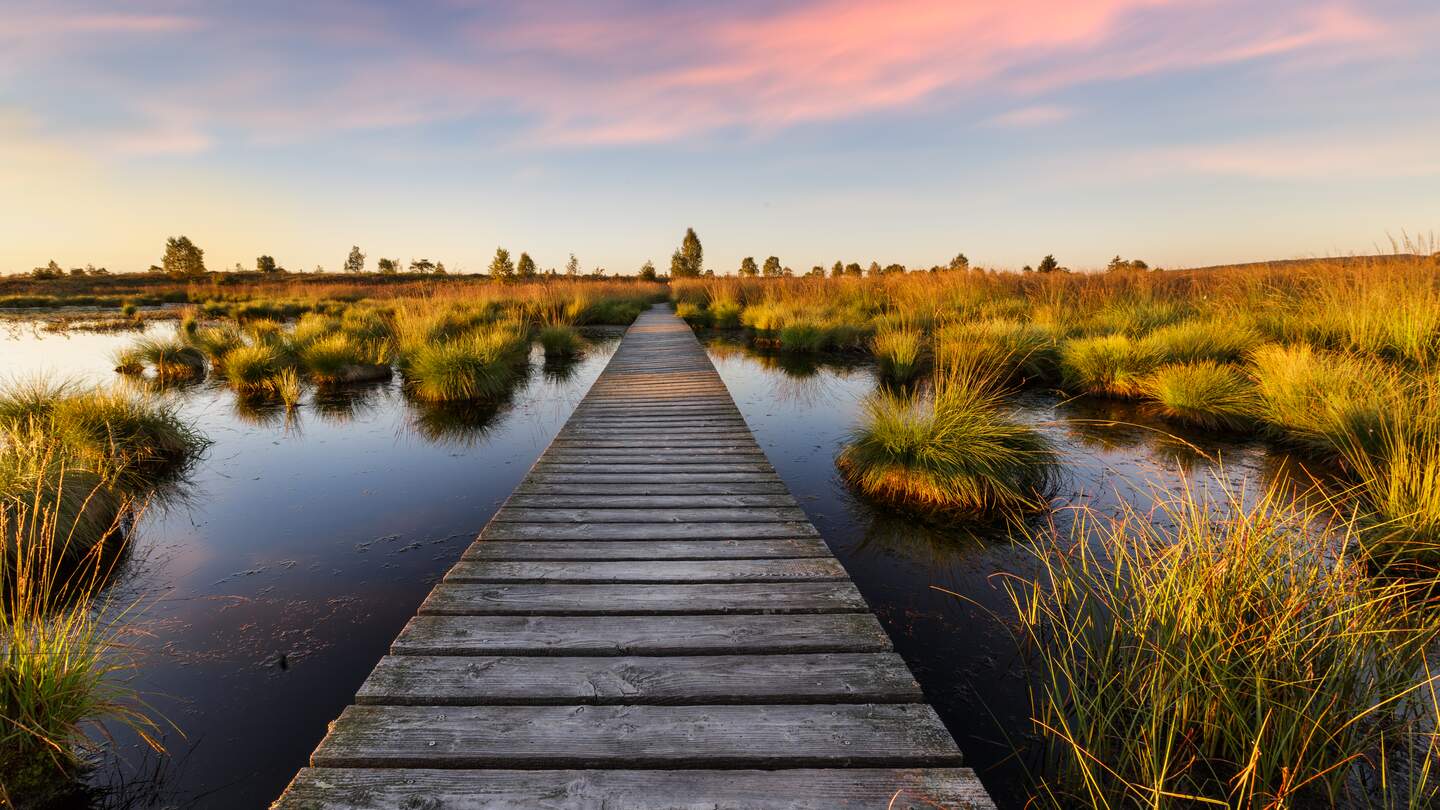 Sonnenuntergang ueber dem See in hohen Mooren des Hohen Venn in der Eifel | © Gettyimages.com/caputolaurent