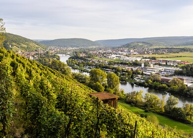 Blick ueber die Weinberge von Klingenberg | © Gettyimages.com/instamatics