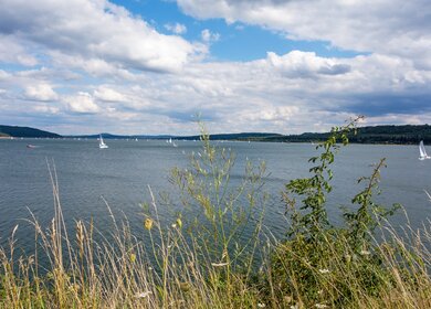 Fränkisches Seenland, Brombachsee | © Gettyimages.com/iStockPhoto