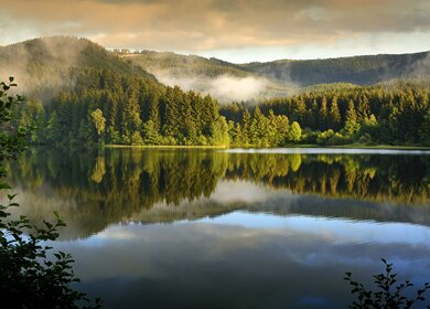 Soesestausee im Harz National Park, Deutschland mit Nebel | © Gettyimages.com/fotografas