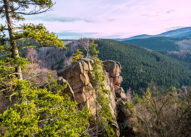 Blick über die Landschaft des Naturschutzgebietes Harz | © Gettyimages.com/animafiora