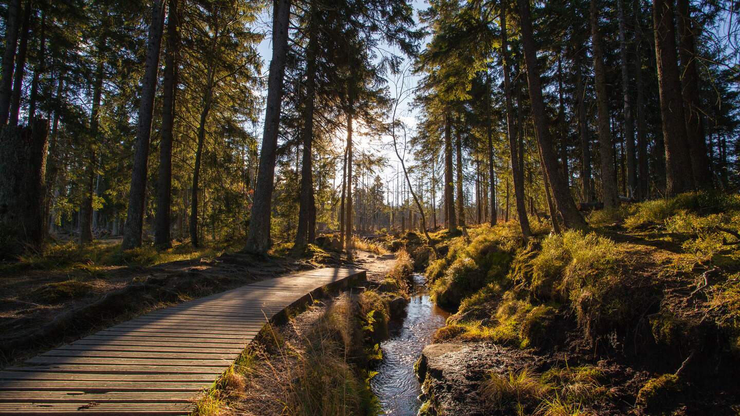 Herbst in deutschen Bergen und Wäldern - Während einer Wanderung durch einige deutsche Mittelgebirge entstanden diese Landschafts-, Panorama- und Naturaufnahmen. Standort war in der Nähe von Schierke - Harz / Brocken. | © Gettyimages.com/kaywiegand