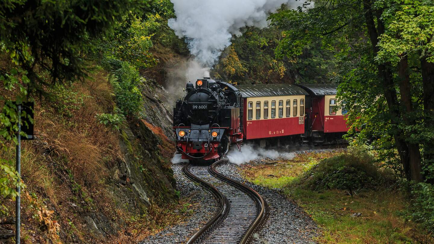 Dampflokomotive mit Waggons im Harz im Wald | © Gettyimages.com/marcoritzki