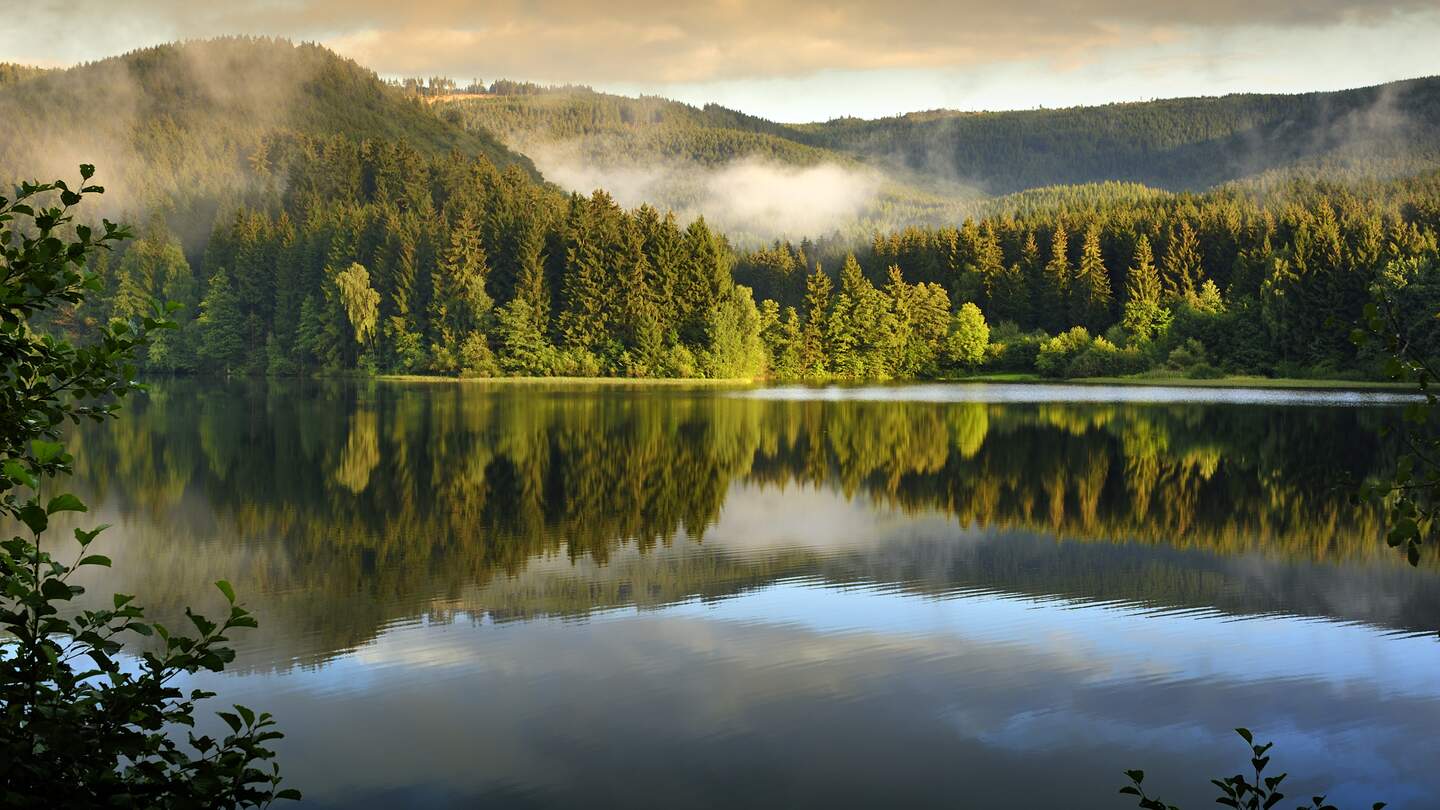 Sösestausee im Harz National Park, Deutschland mit Nebel | © Gettyimages.com/fotografas