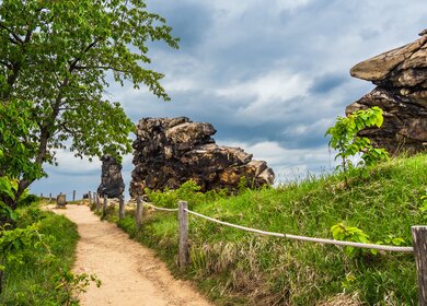 Landschaft mit Baeumen und Felsen im Harz | © Gettyimages.com/RicoK69