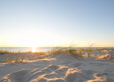 Strand von Northsea | © gettyimages.com/Rike_