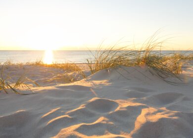 Strand von Northsea | © gettyimages.com/Rike_
