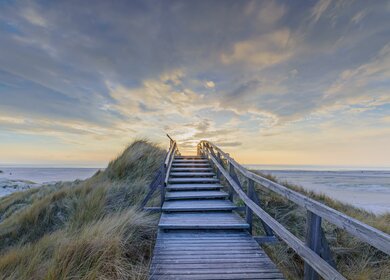 Steg und Treppe in den Duenen bei Sonnenuntergang, Norddorf, Amrum, Schleswig-Holstein | © Gettyimages.com/Frederick Doerschem