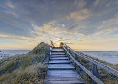 Steg und Treppe in den Duenen bei Sonnenuntergang, Norddorf, Amrum, Schleswig-Holstein | © Gettyimages.com/Frederick Doerschem