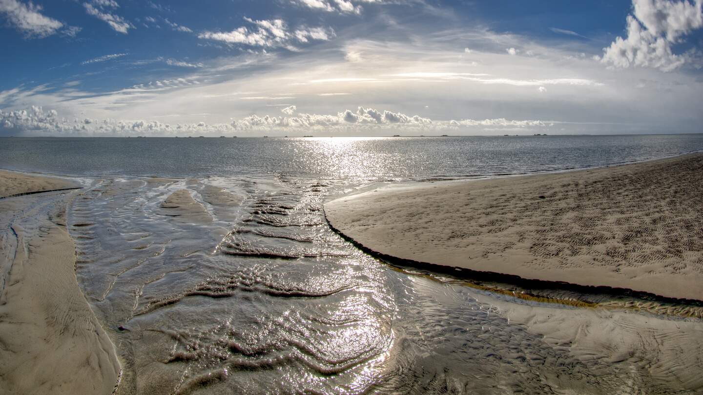 Wattenmeer | © Gettyimages.com/ Frank Wagner