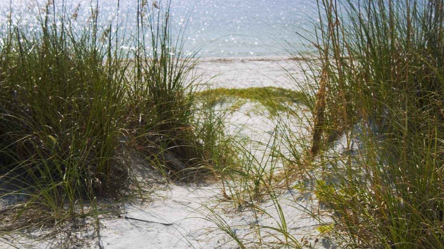 sandigen Strandweg, der durch hohe Graeser fuehrt und sich zum Meer hin oeffnet | © gettyimages.com/Vstock LLC