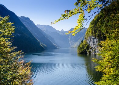 Blick auf den Königssee und die Berge vom Malerwinkel | © Gettyimages.com/photohomepage