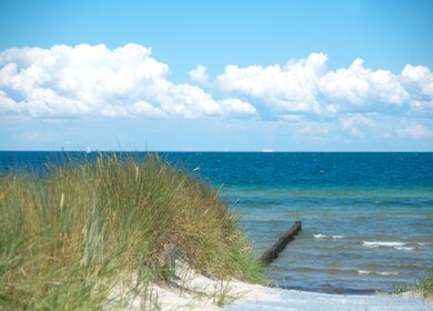 einen Strand mit einer Duene | © gettyimages.com/wakila