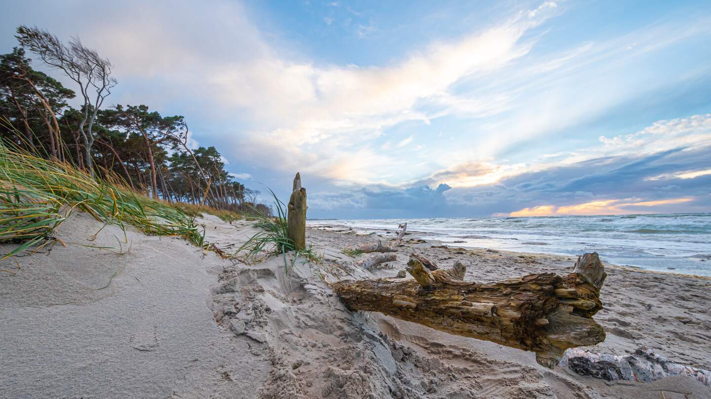 Weststrand auf dem Darss an der Ostsee bei Sonnenuntergang mit Blick auf Treibholz, Meer, Strand und Duenen | © Gettyimages.com/A-Tom
