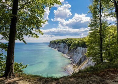 Kreidefelsen von Rügen im Sommer | © Gettyimages.com/RicoK69