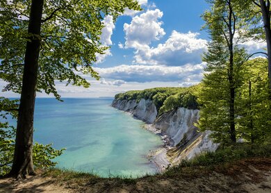 Kreidefelsen von Ruegen im Sommer | © Gettyimages.com/RicoK69