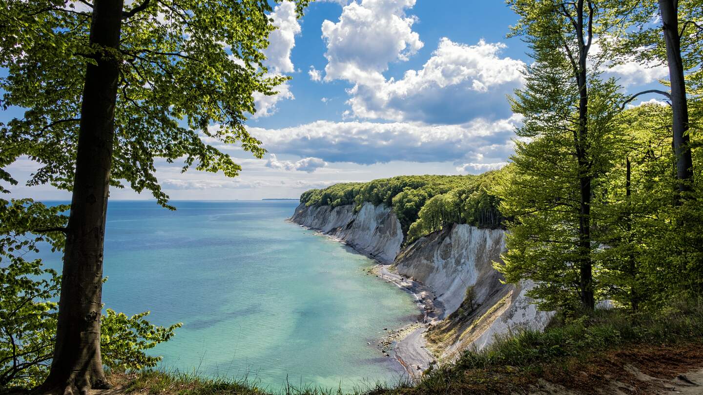 Kreidefelsen von Rügen im Sommer | © Gettyimages.com/RicoK69