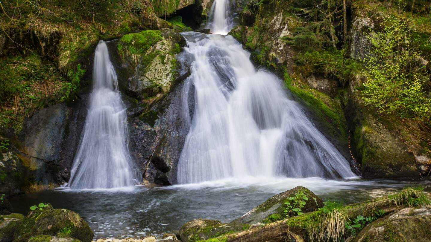 zwei parallele Wasserfälle und zwei Terrassen der Triberger Wasserfälle  | © Gettyimages.com/simondux