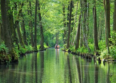 Spreewald-Wasserkanal mit Boot in der Ferne in Brandenburg | © Gettyimages.com/LianeM
