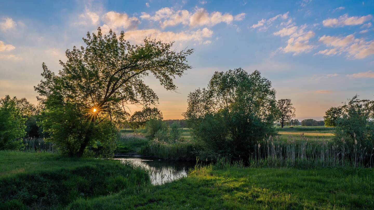 Sonnenuntergang auf einem natürlichen Fluss in einer ländlichen Gegend, dem Spreewald. | © Gettyimages.com/petraschneider