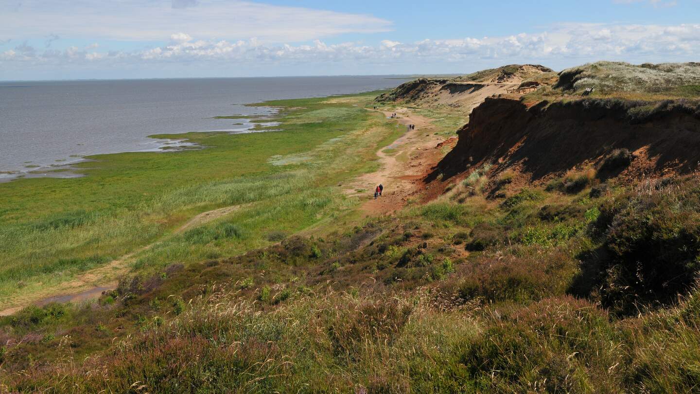 Rechts die Morsum Klippe auf Sylt, links das Meer. Dazwischen Graslandschaft und spazierende Menschen auf Pfaden | © Gettyimages.com/lupoch