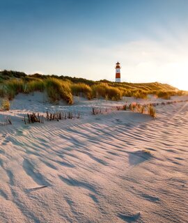Ein rot weisser Leuchtturm in den Duenen, die Sonne geht unter und taucht die Grashalme auf den Duenen in goldfarbenes Licht | © Gettyimages.com/mthaler