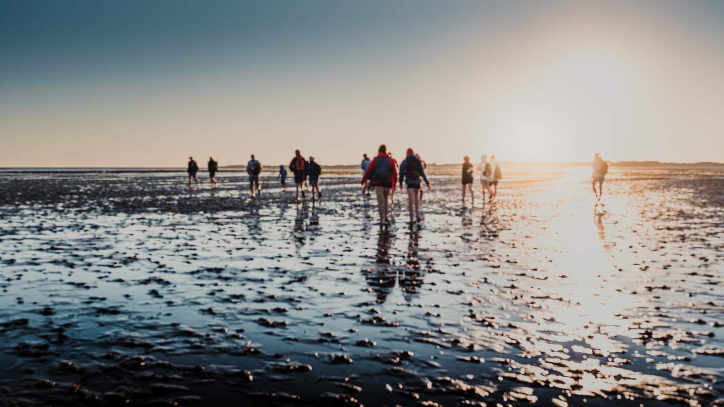 Eine Gruppe von Menschen die eine Wattwanderung machen. Die Sonne geht langsam unter und spiegelt sich in den Pfützen auf dem Boden | © Gettyimages.com/ppampictures