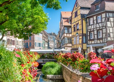 Altstadt von Colmar mit Blick auf den Fluss Lauch und Blumen im Vordergrund | © Gettyimages.com/adisa