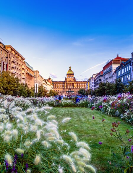 Der bunt bepflanzte Wenzelsplatz in Prag mit der Statur von St. Wenzel und dem Nationalmuseum im Hintergrund. Um den Platz herum stehen historischer Prager Gebäude | © Gettyimages.com/VividaPhotoPC